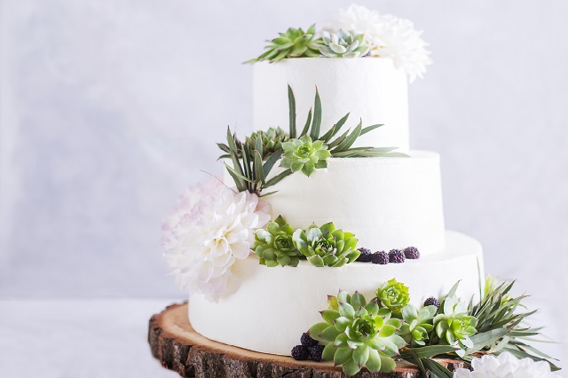 Elegant wedding cake with flowers and succulents